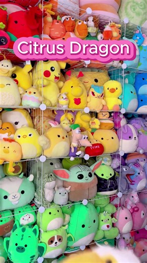 just some random additions to my Webkinz collection!! happy webkinz day everyone!