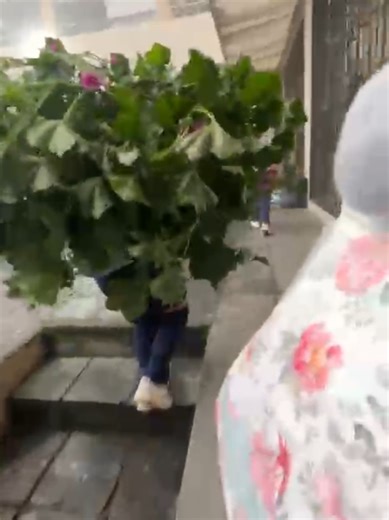 Ramos de flores para el 14 de febrero