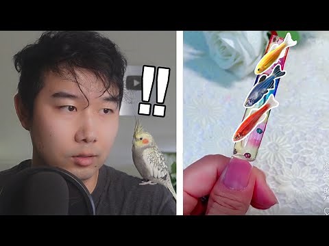 this is trending again... | Fish Tank Review 195