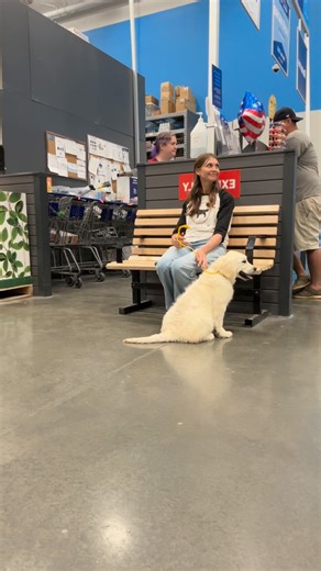 Red Fern Companions / Melanie on Instagram: "The #1 mistake people make with puppy socialization… is thinking it means: meet everyone. But real socialization isn’t about creating a puppy who wants to run up to every person, dog, or distraction. It’s about creating a puppy who can: ✔️ stay calm in new places ✔️ recover quickly after being startled ✔️ look to YOU for direction ✔️ ignore distractions when it matters ✔️ feel safe even when life gets loud Because the goal isn’t excitement. The goal i