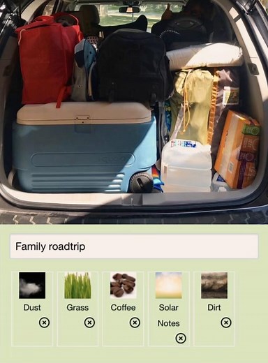 Memorable Family Road Trips: Tips and Adventures