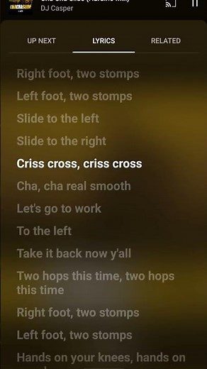 Cha Cha slide - DJ Casper lyrics