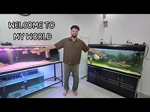 🌊 My Dream Aquarium Room | Full Fish Tank Tour 🐠✨