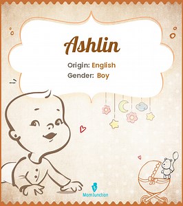 Ashlin Name Meaning, Origin, History, And Popularity