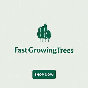 235 reactions · 16 shares | Nosy neighbors? Get instant privacy and level up your home with our trees. Every plant is backed by our Alive & Thrive Guarantee. | Fast Growing Trees | Facebook