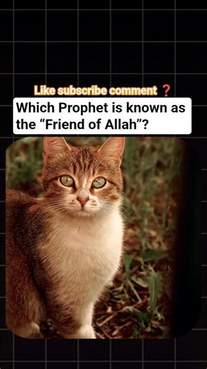 ❤️Which Prophet is known as the “Friend of Allah”? #islamicquotes #shorts #islamic