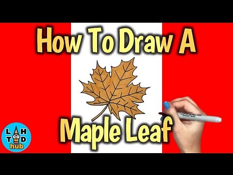 How To Draw A Maple Leaf Step By Step