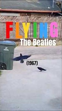 The Beatles: Flying (1967)