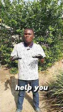 5 Benefits of Eating Catfish #Odisranch #catfish