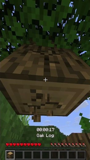 Day One Playing Minecraft One Minute Per Day Until I Beat The Game