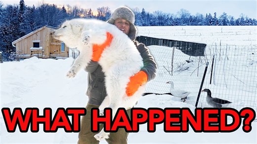 Discovering something new on the farm during vlog