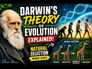 🧬 What is Darwin’s Theory of Evolution & Natural Selection? | Explained Simply 🌍
