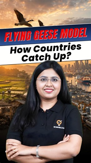 The Flying Geese Model of Economic Development Explained | Day 11