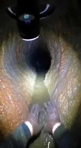 Bat Swarm Fills Cave Tunnel POV