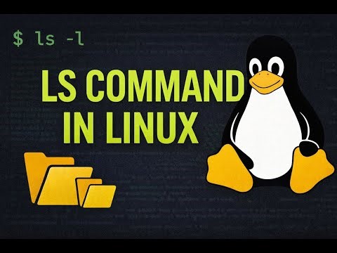 Linux ls Command Explained | All Options, Arguments & Examples