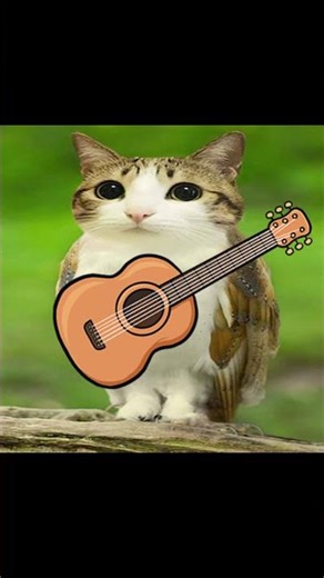 Guitar Meowl