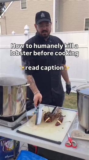 Despite what you’ve been told, lobsters do in fact have pain receptors. So if you are cooking one, kill it quick before adding it to boiling water. There’s no need to boil it alive just because you don’t want to deal with the reality of how your food is prepared. And to the chefs about to rip me a new one. No, you’re not correct if it’s cooked immediately. Yes, if you kill a lobster and leave it unstable and half chilled for hours, it can cause issues with the meat. But if you do this and throw 