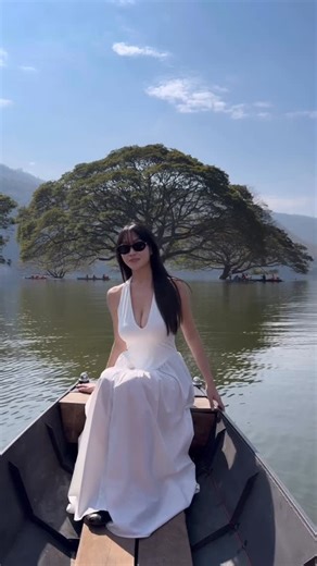 Salinthip Yimyai on Instagram: "ภาคเหนือฉำฉา ภาคกลางจามจุรี🌳"