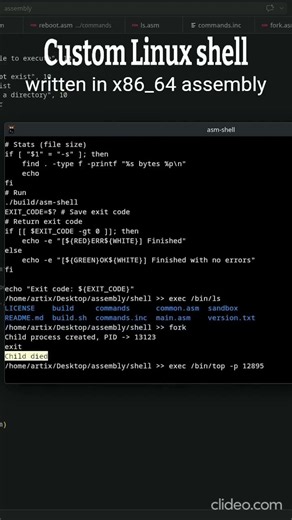 Custom linux shelll in asm using syscalls #linux #assembly #programming #lowlevel #x86 #coding #asm
