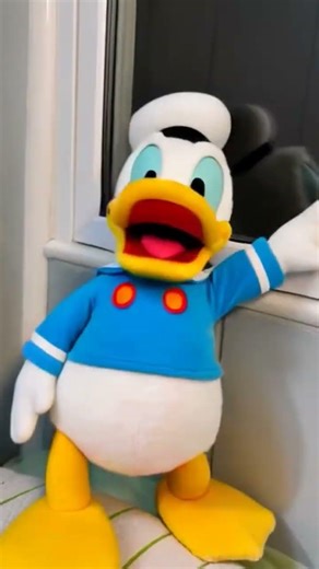 Mickey mouse hate the freaking cold weather