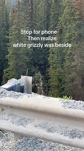 And he's wearing a tracking collar. | Hester's Black & Tan Hounds