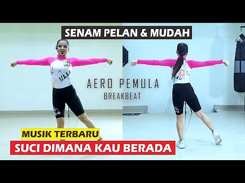 GYMNASTICS TO REDUCE THE STOMACH, THIGHS AND ARMS FOR AEROBIC BEGINNERS