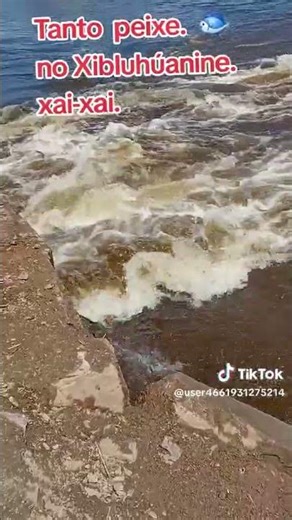 27 de março de 2026