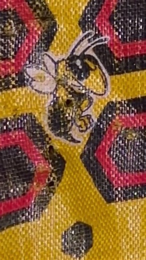 Do you shoot year round?