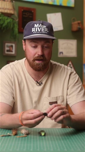 Freshwater Drum Flies