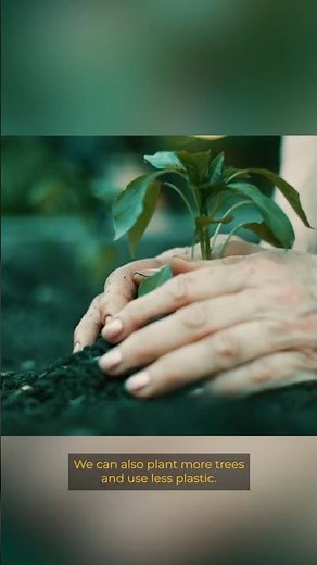 Top 3 Best Ways To Reduce Environmental Pollution