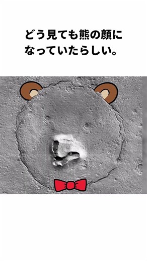 Bears on Mars #space #trivia