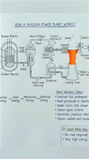 How a Nuclear Power Plant Works ⚡ (Simple Explanation) #viral #industrialelectrician #electrical