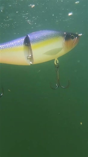 2.0 Pete Series are here and they GET BIT #bassfishing #fishing #grattbaits