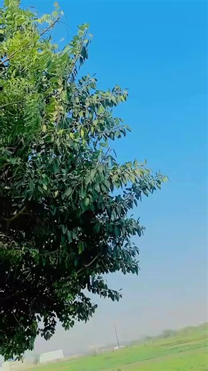 Explore UsMaN Boss 9T9 and Only 9T9 Group Dynamics