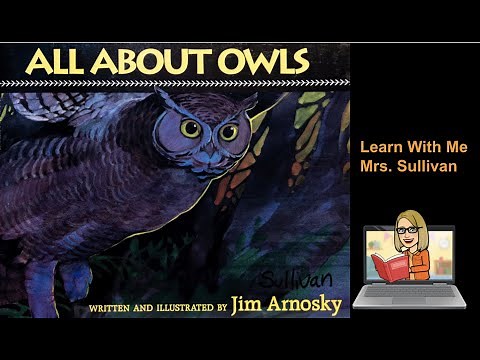 All About Owls