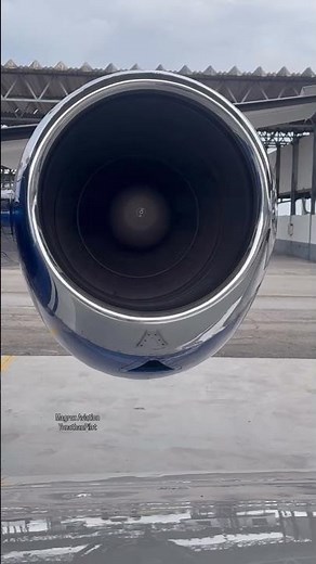 Pratt and Whitney JT15D ENGINE STARTUP | Cessna C500 Citation