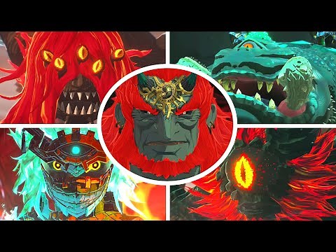 Hyrule Warriors: Age of Imprisonment - All Bosses + Cutscenes