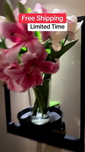 Indoor wall planters with lights let you showcase real plants, window herbs, or succulents like art, transforming your living room, bedroom, or office with boho chic meets smart lighting. Fans love how these stylish wall hanging planters with LED décor create cozy, Instagram-worthy vibes and make gifting easy for housewarmings, weddings, and plant lovers. Grab yours now and see how adding plant shelves with lights and glowing frames instantly boosts ambiance and elevates décor. #LEDpictureframe 