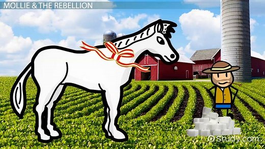 Mollie in Animal Farm by George Orwell | Characteristics & Symbol