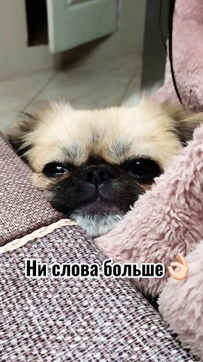 🤝💖@vladymyr322