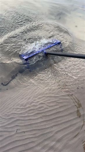 чистка пляжа совком | Seafood Cleaning