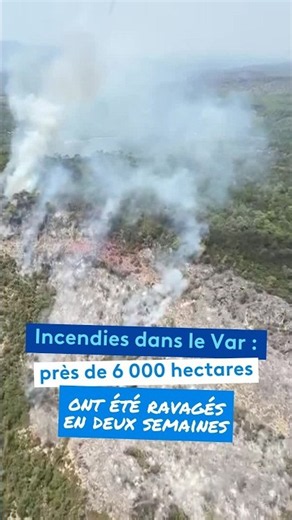 Incendies dans le Var : près de 6 000 hectares ont été ravagés en deux semaines