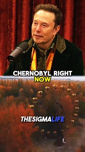 Elon Musk on Why You Can Tour Chernobyl Now | The Sigma Life