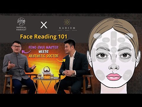 A Beginner's Guide to Face Reading - Face Reading 101