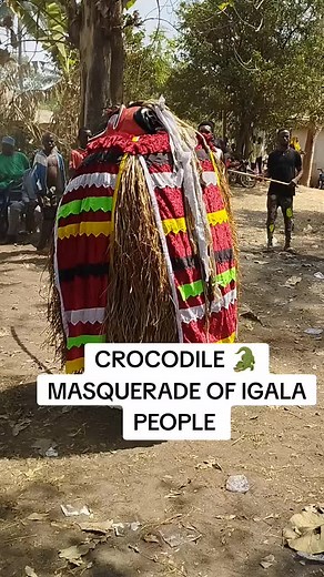 watch the Beautiful Display of Igala crocodile 🐊 Masquerade 😀 #igalapeople #igalaforever