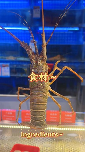 新加坡蓝湾海鲜火锅 BLUE BAY SEAFOOD (@bluebayseafoodhotpot)’s videos with 原声 - 新加坡蓝湾海鲜火锅 BLUE BAY SEAFOOD