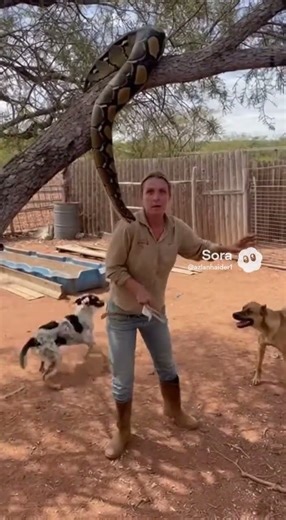 Snake Eat Women #shorts