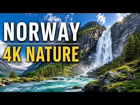 1 hour of Norwegian rivers in 4K | Relaxing Nature Sounds for Sleep & Meditation