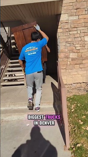 The Best Denver Movers for College Students