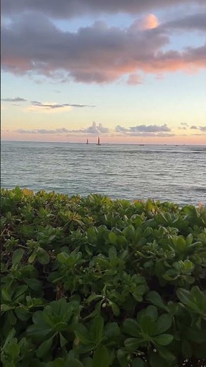 Soothing Hawaiian Sunset #calming #hawaii #short #relaxing #gratitude